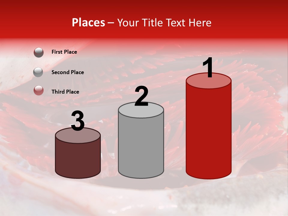 A Close Up Of A Red Flower On A White Surface PowerPoint Template