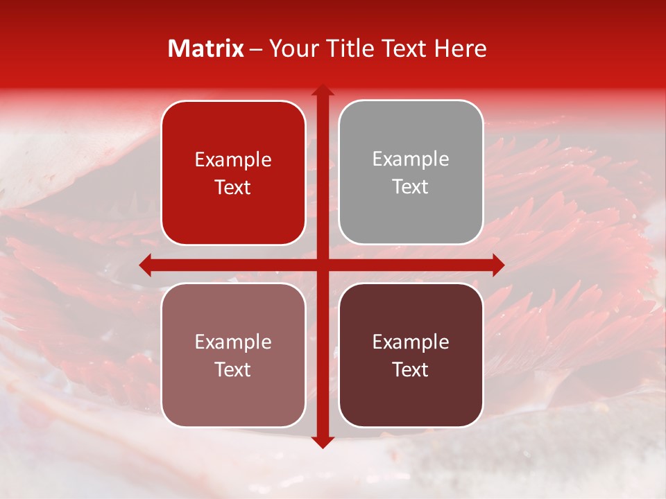 A Close Up Of A Red Flower On A White Surface PowerPoint Template