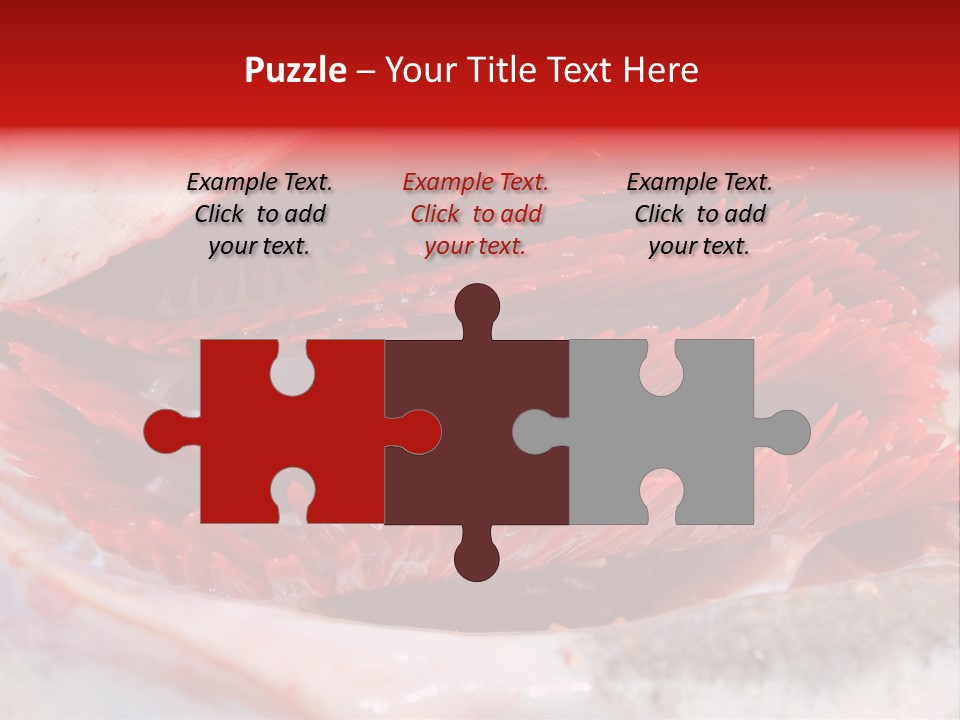 A Close Up Of A Red Flower On A White Surface PowerPoint Template