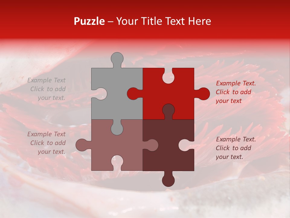 A Close Up Of A Red Flower On A White Surface PowerPoint Template