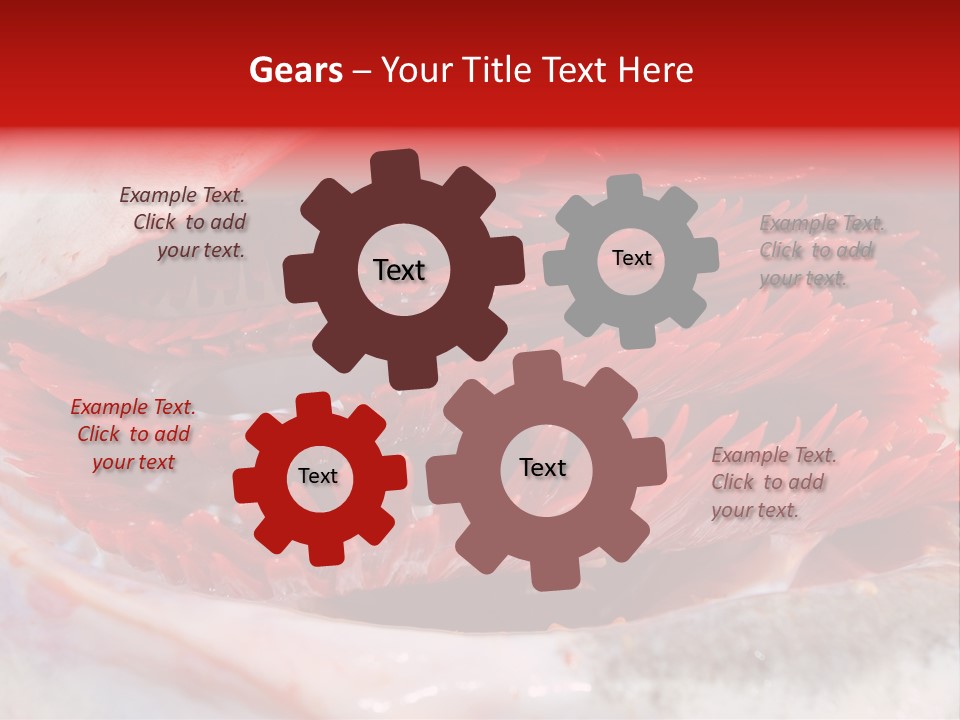 A Close Up Of A Red Flower On A White Surface PowerPoint Template