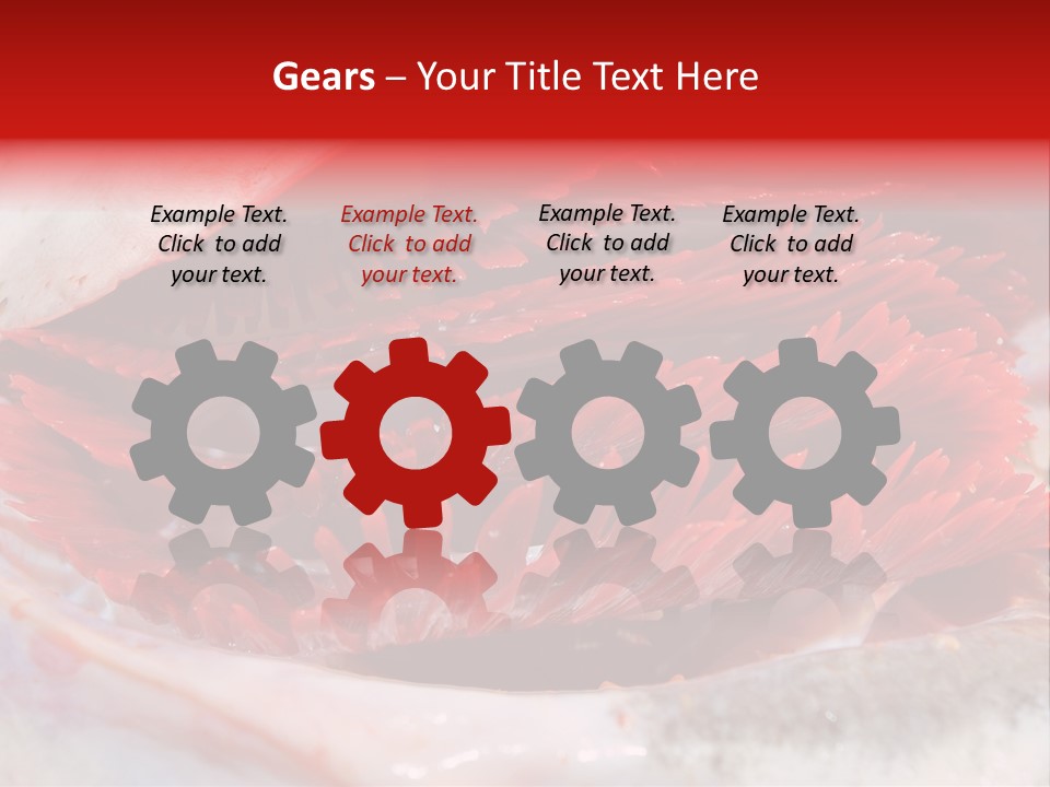 A Close Up Of A Red Flower On A White Surface PowerPoint Template