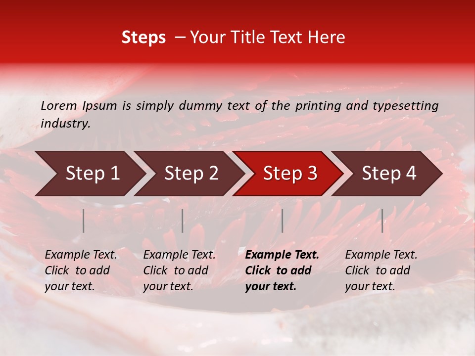 A Close Up Of A Red Flower On A White Surface PowerPoint Template