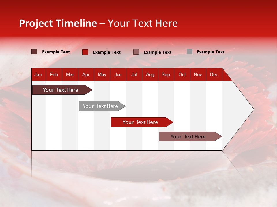 A Close Up Of A Red Flower On A White Surface PowerPoint Template