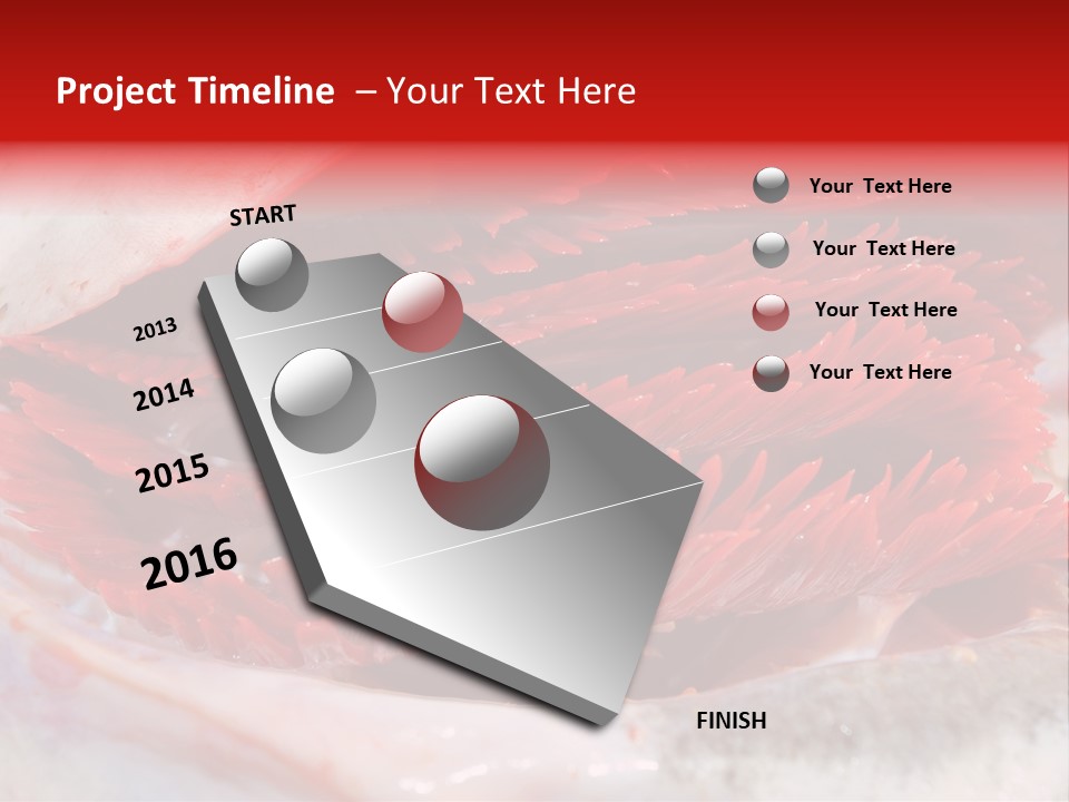 A Close Up Of A Red Flower On A White Surface PowerPoint Template