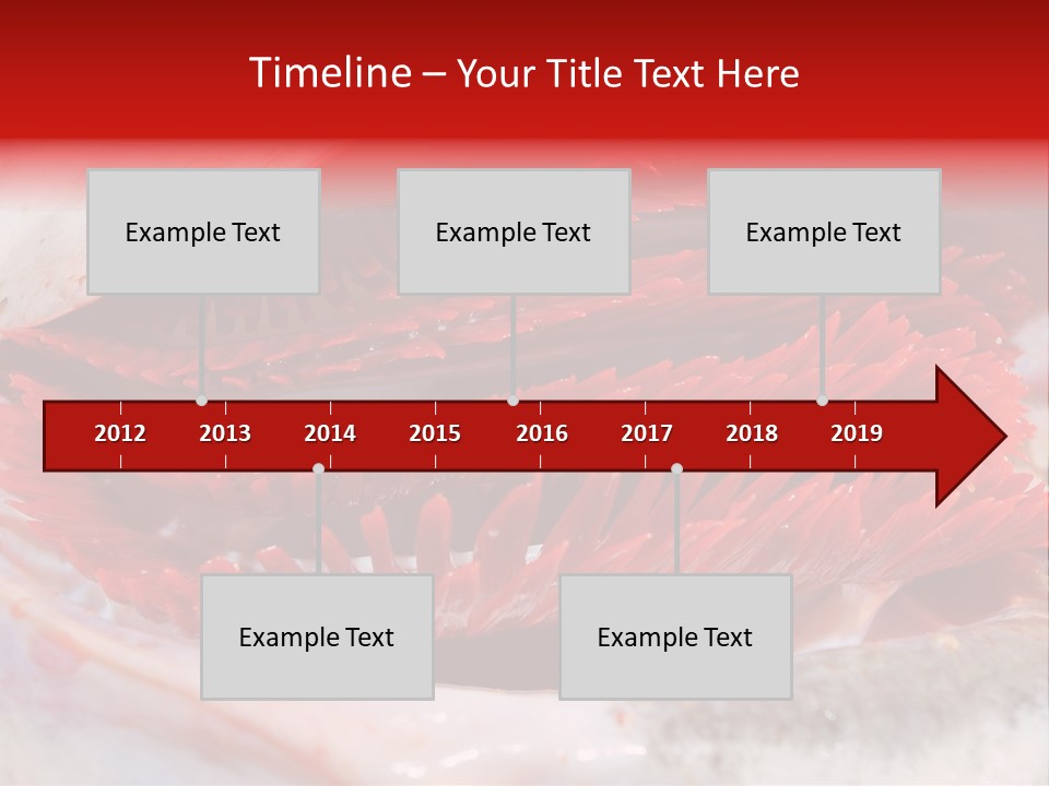 A Close Up Of A Red Flower On A White Surface PowerPoint Template
