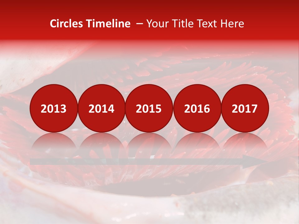 A Close Up Of A Red Flower On A White Surface PowerPoint Template