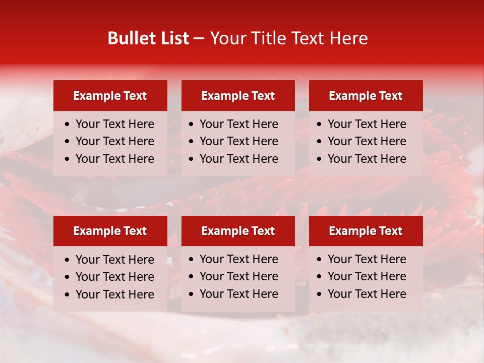 A Close Up Of A Red Flower On A White Surface PowerPoint Template