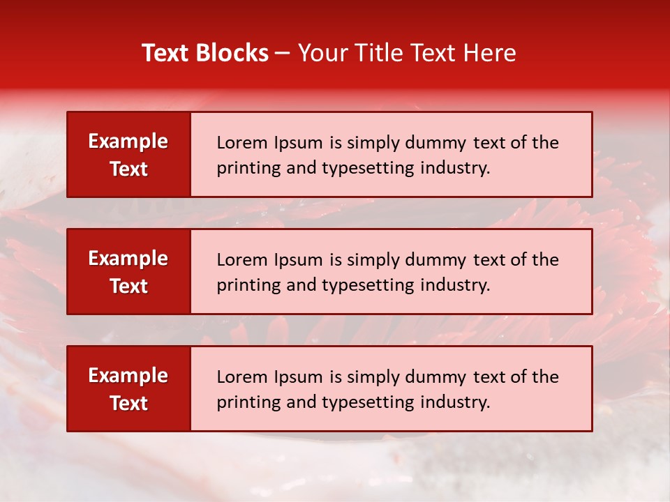 A Close Up Of A Red Flower On A White Surface PowerPoint Template