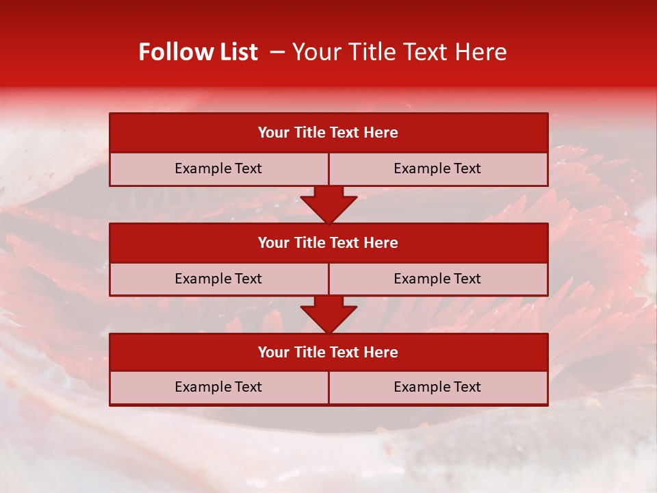 A Close Up Of A Red Flower On A White Surface PowerPoint Template