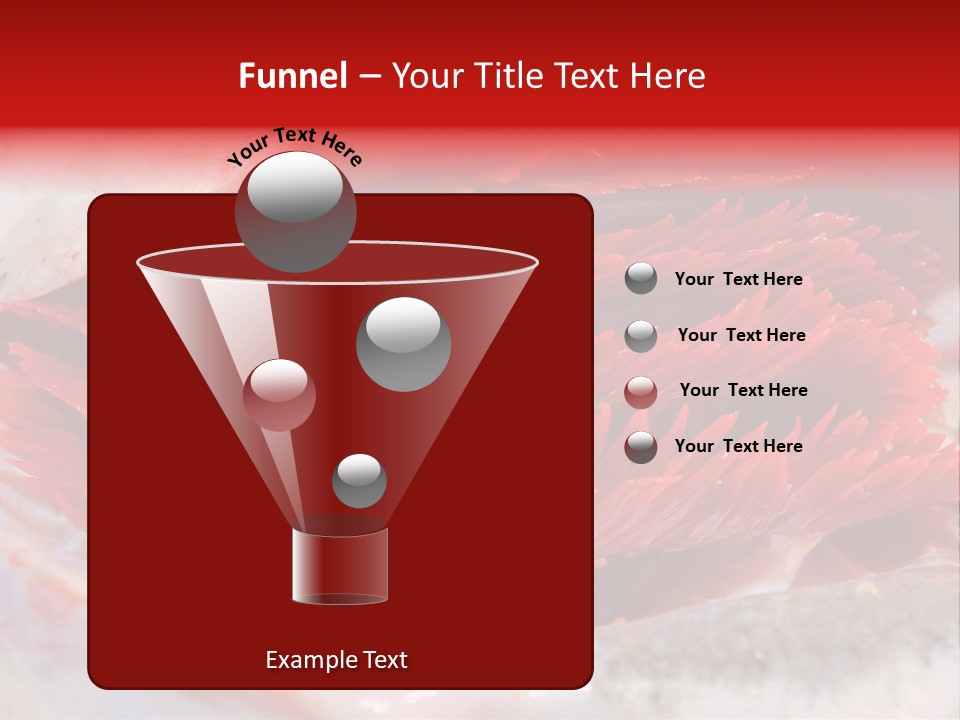 A Close Up Of A Red Flower On A White Surface PowerPoint Template