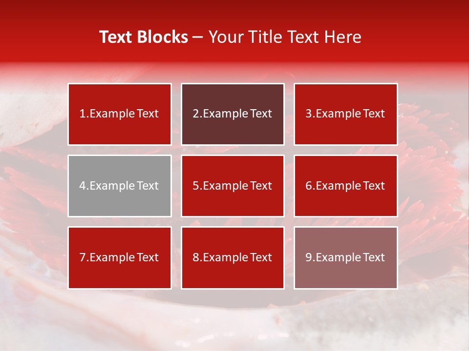 A Close Up Of A Red Flower On A White Surface PowerPoint Template