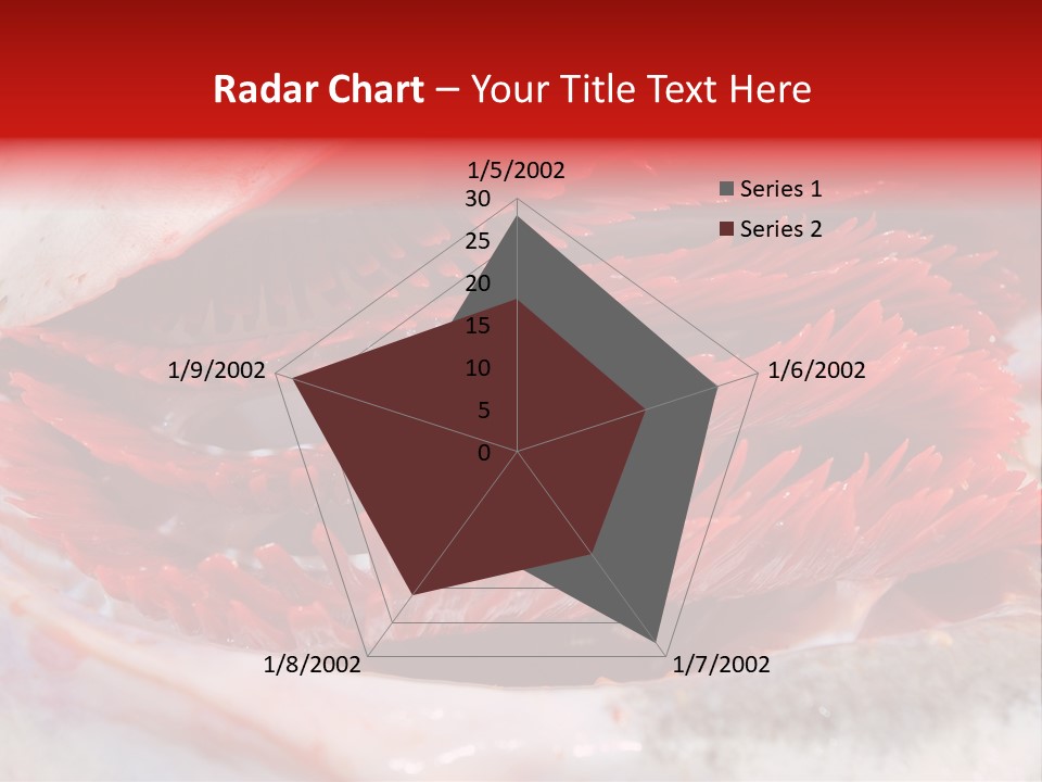A Close Up Of A Red Flower On A White Surface PowerPoint Template