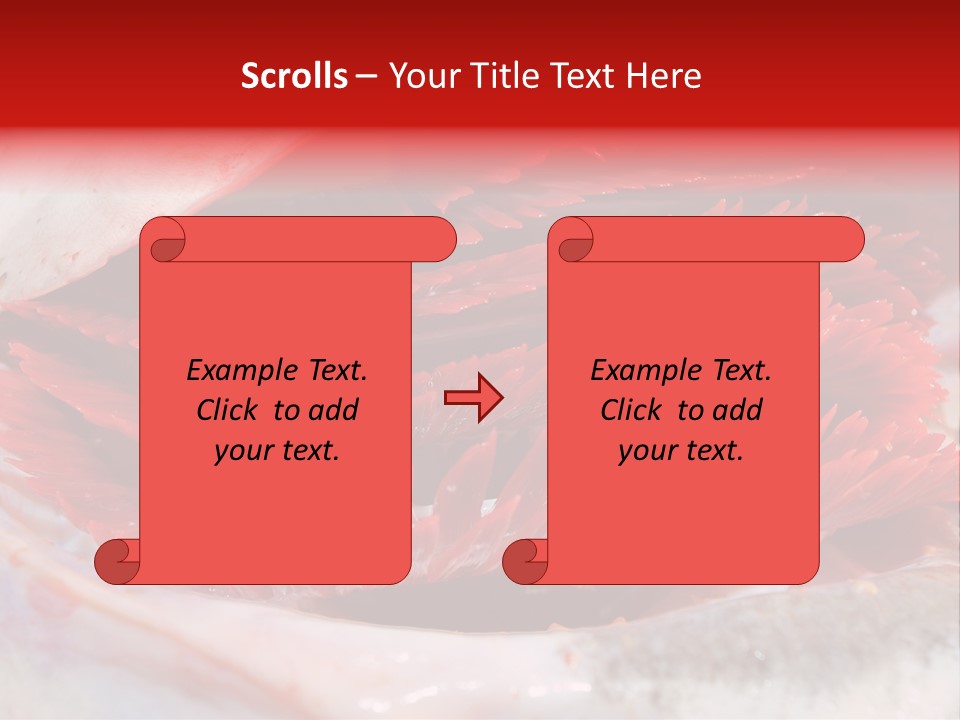 A Close Up Of A Red Flower On A White Surface PowerPoint Template
