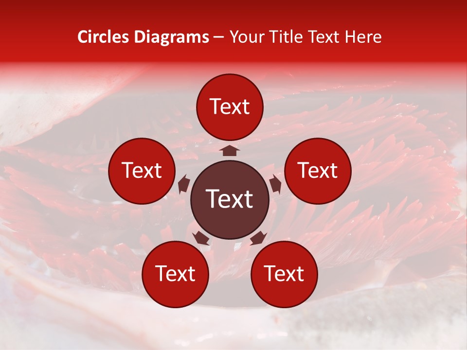 A Close Up Of A Red Flower On A White Surface PowerPoint Template