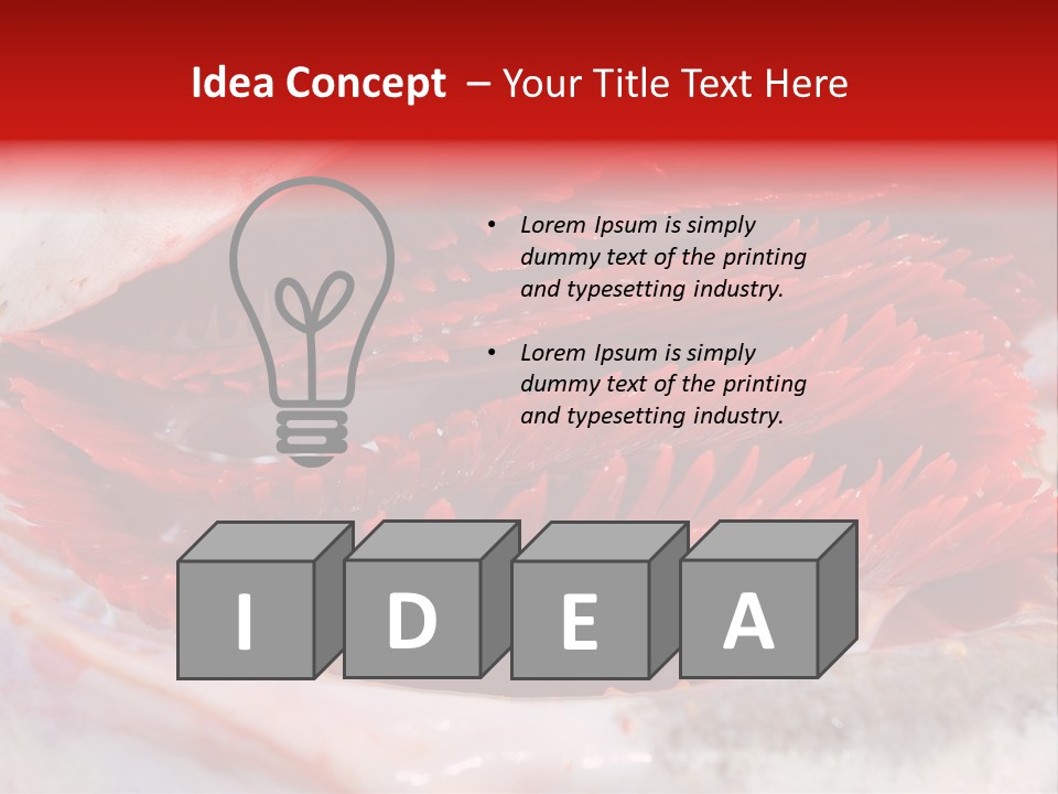 A Close Up Of A Red Flower On A White Surface PowerPoint Template