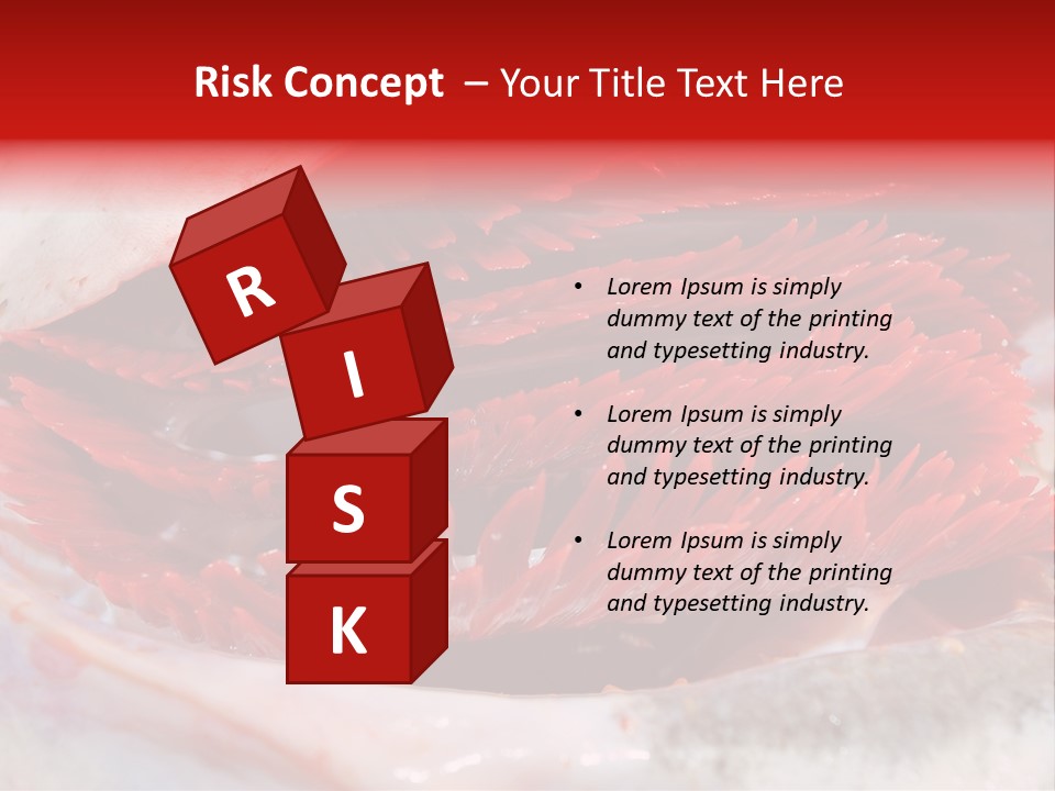 A Close Up Of A Red Flower On A White Surface PowerPoint Template