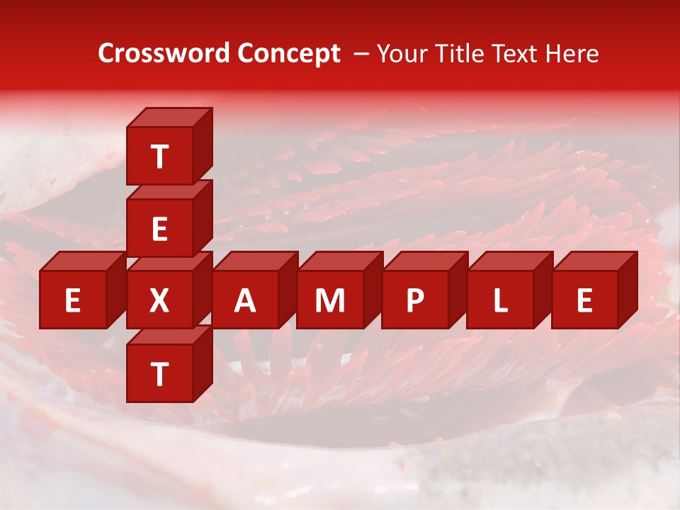 A Close Up Of A Red Flower On A White Surface PowerPoint Template