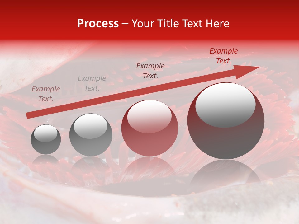 A Close Up Of A Red Flower On A White Surface PowerPoint Template