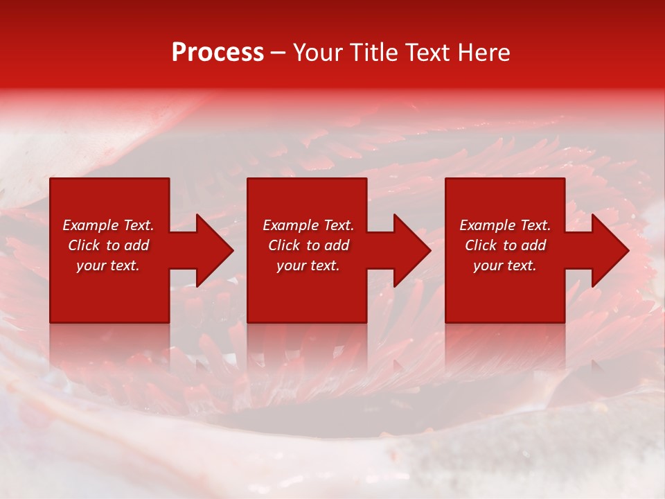 A Close Up Of A Red Flower On A White Surface PowerPoint Template