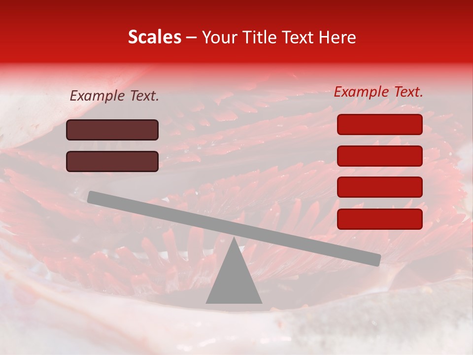 A Close Up Of A Red Flower On A White Surface PowerPoint Template