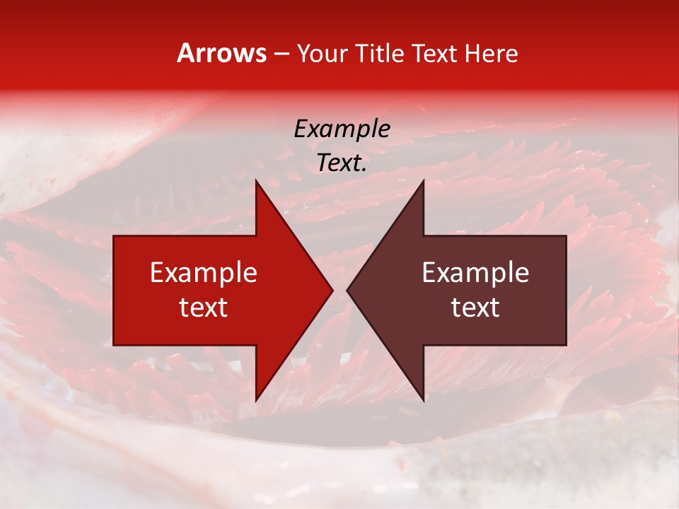 A Close Up Of A Red Flower On A White Surface PowerPoint Template