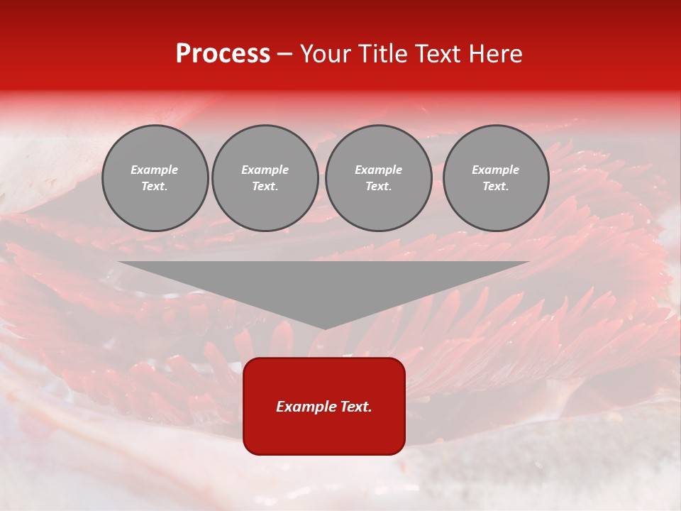 A Close Up Of A Red Flower On A White Surface PowerPoint Template