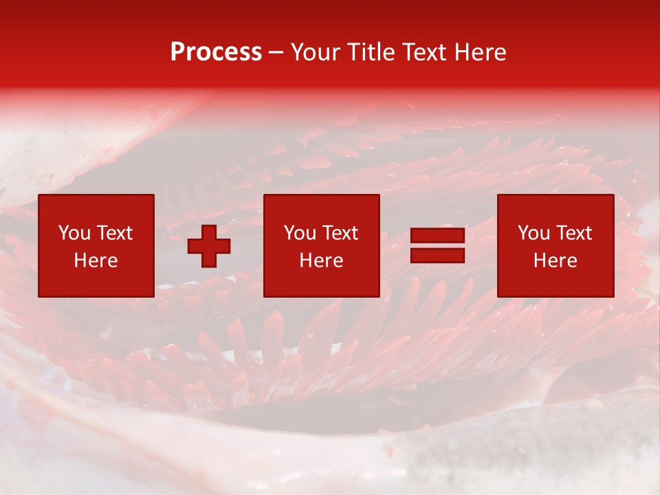 A Close Up Of A Red Flower On A White Surface PowerPoint Template