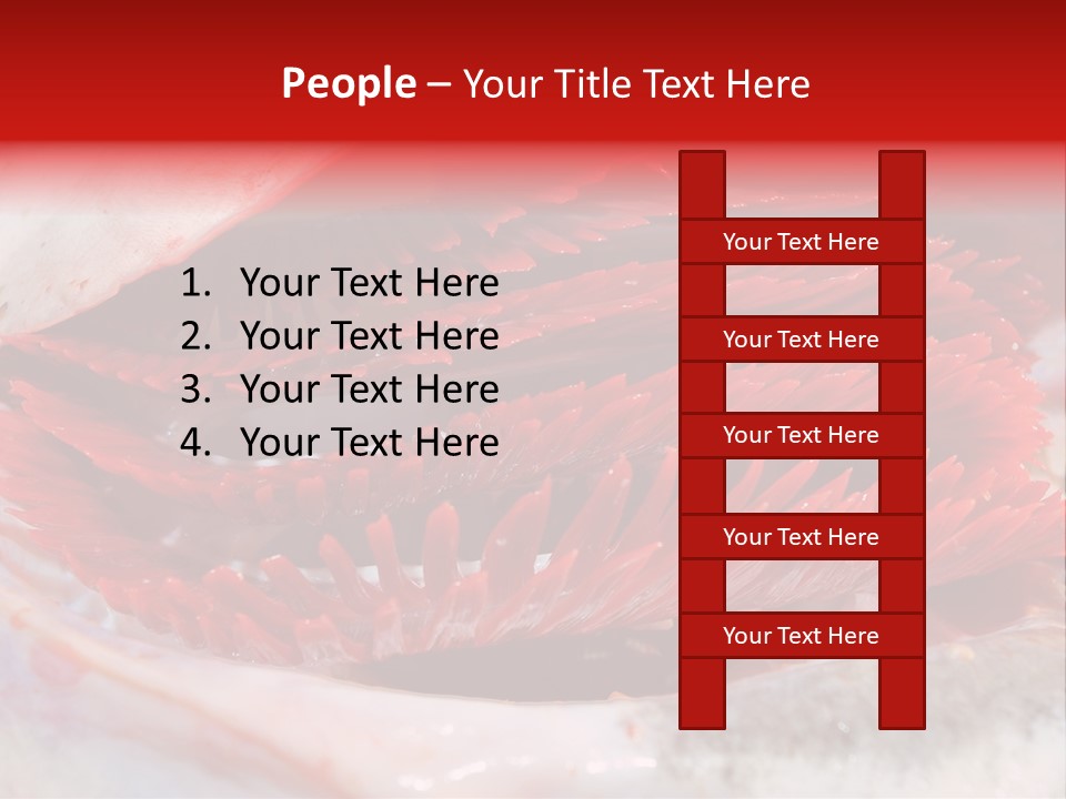 A Close Up Of A Red Flower On A White Surface PowerPoint Template