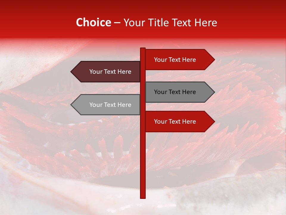 A Close Up Of A Red Flower On A White Surface PowerPoint Template