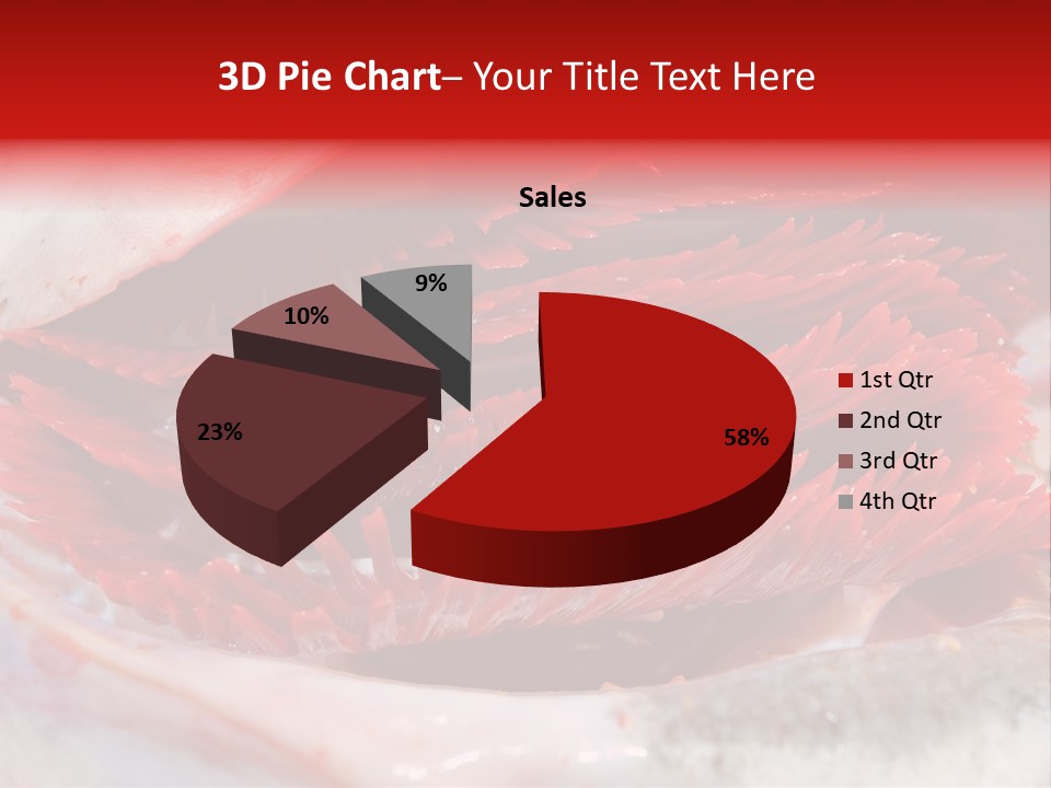 A Close Up Of A Red Flower On A White Surface PowerPoint Template