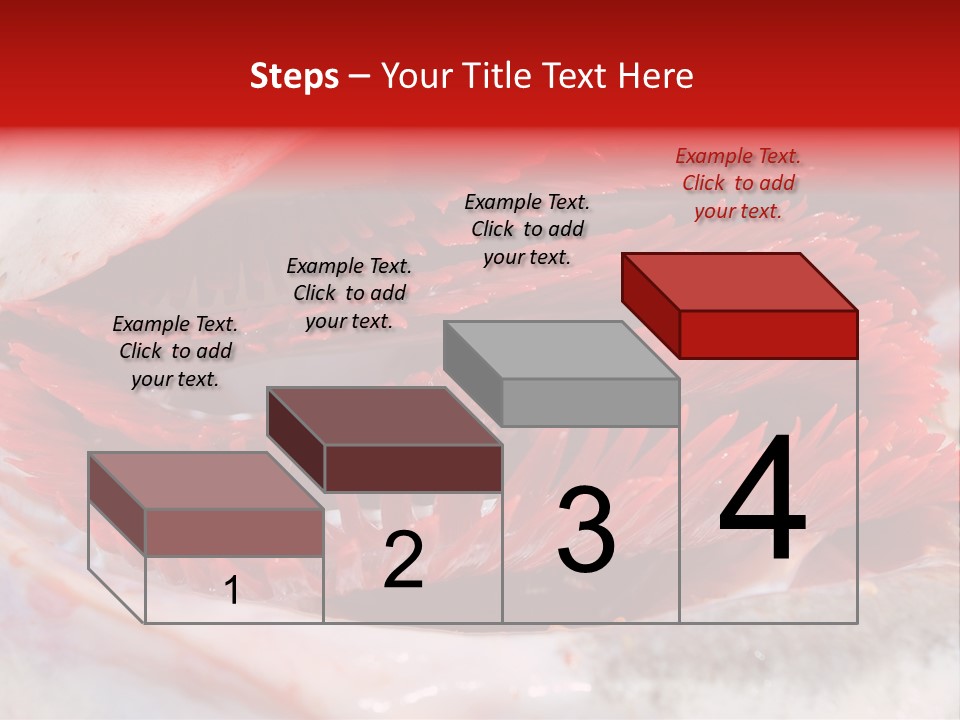 A Close Up Of A Red Flower On A White Surface PowerPoint Template