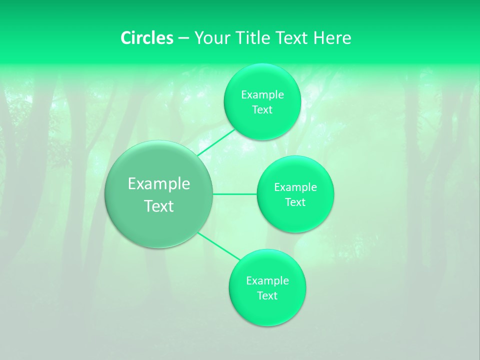 Magical Trunk Spring PowerPoint Template