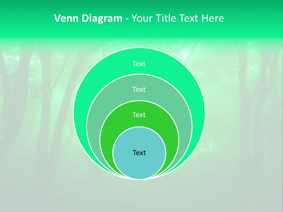 Magical Trunk Spring PowerPoint Template