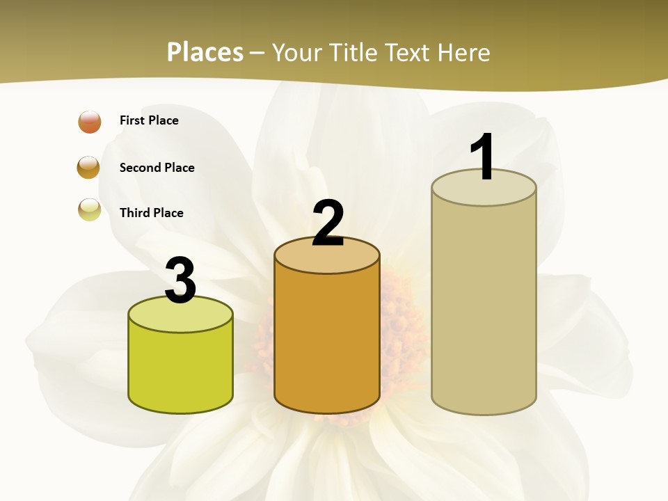 A White Flower With Yellow Center On A White Background PowerPoint Template