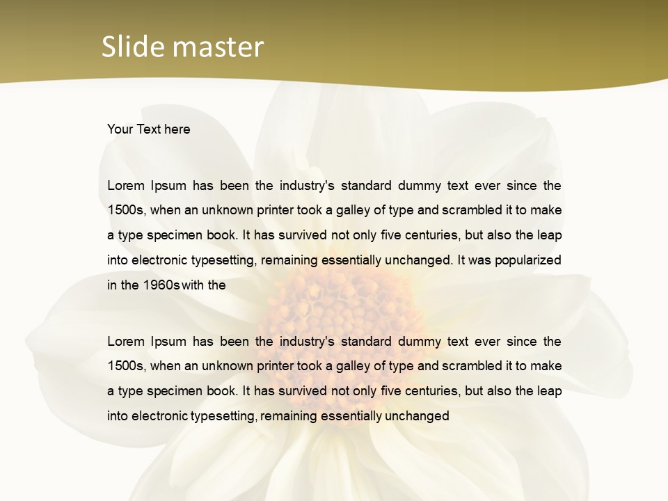 A White Flower With Yellow Center On A White Background PowerPoint Template