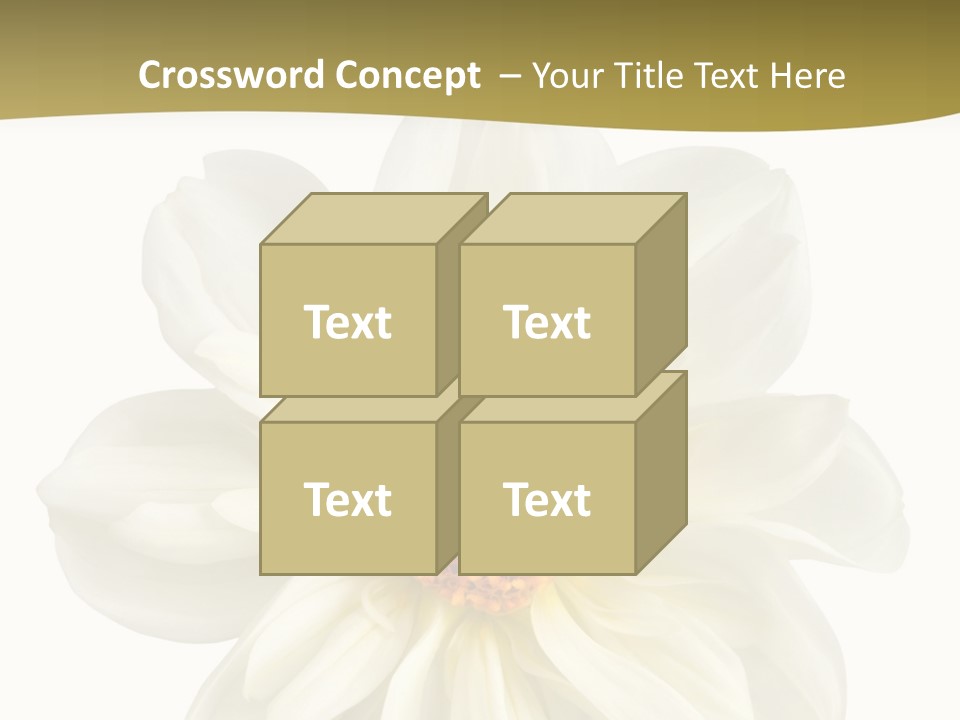 A White Flower With Yellow Center On A White Background PowerPoint Template