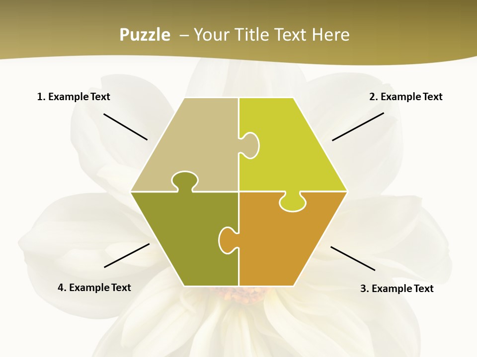 A White Flower With Yellow Center On A White Background PowerPoint Template