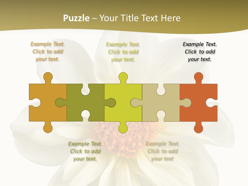 A White Flower With Yellow Center On A White Background PowerPoint Template