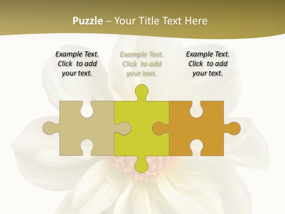 A White Flower With Yellow Center On A White Background PowerPoint Template