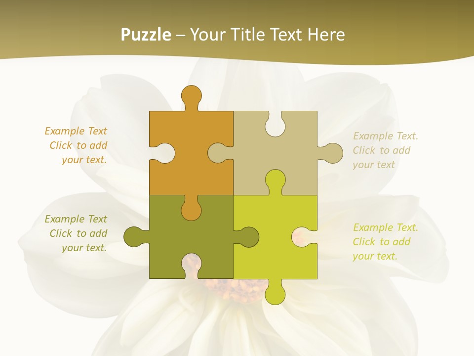 A White Flower With Yellow Center On A White Background PowerPoint Template