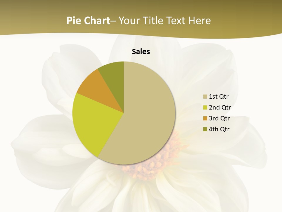 A White Flower With Yellow Center On A White Background PowerPoint Template