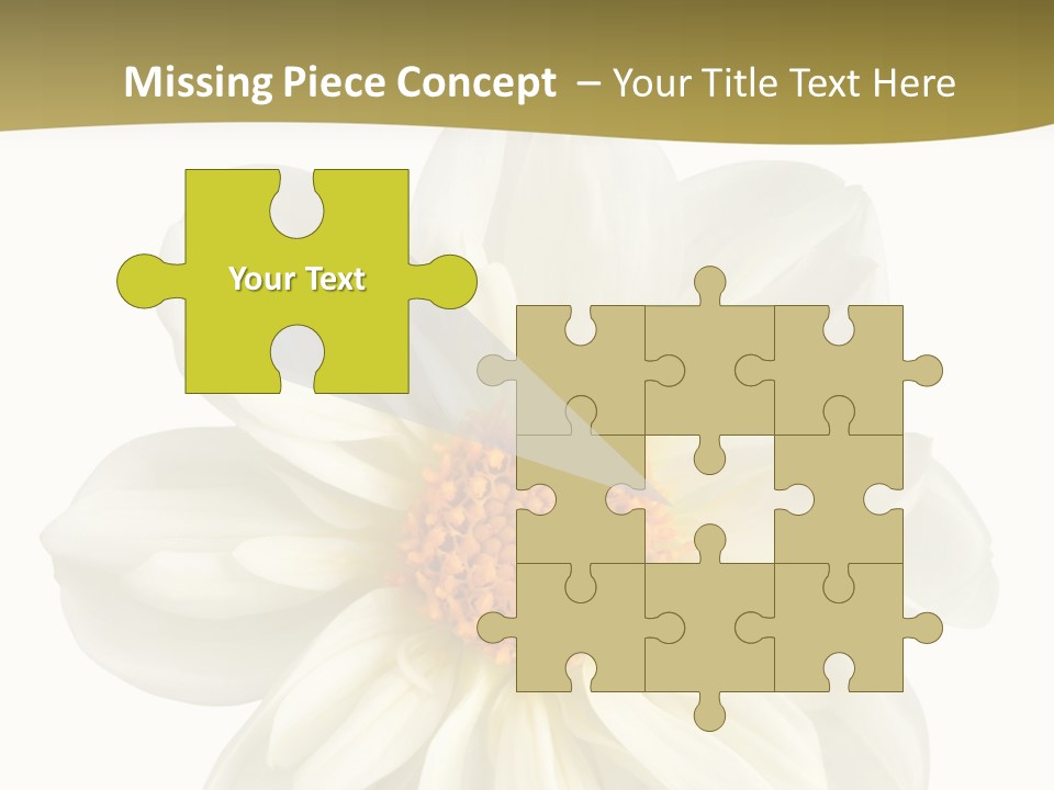 A White Flower With Yellow Center On A White Background PowerPoint Template