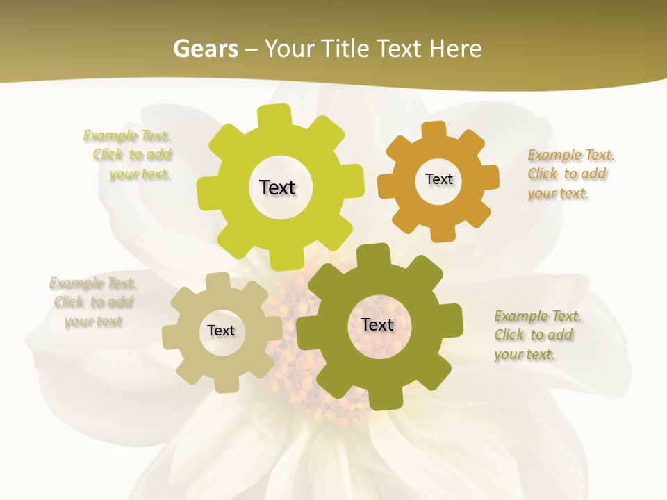 A White Flower With Yellow Center On A White Background PowerPoint Template