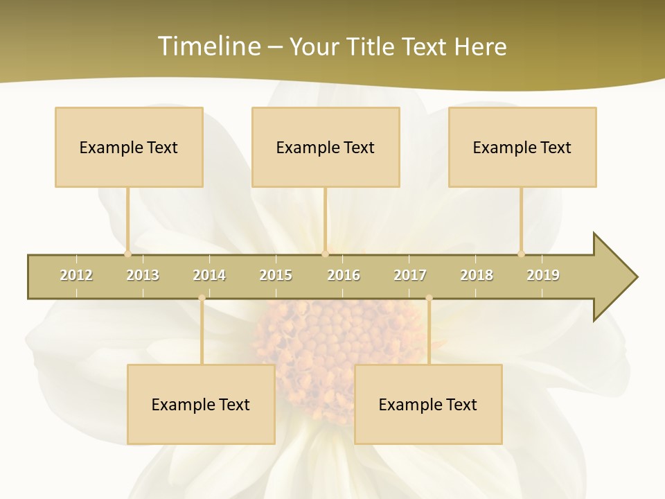 A White Flower With Yellow Center On A White Background PowerPoint Template