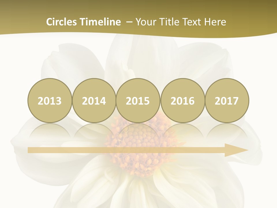 A White Flower With Yellow Center On A White Background PowerPoint Template