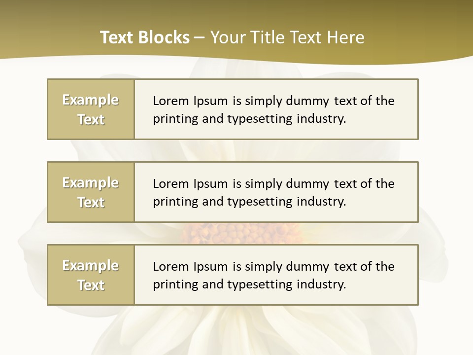 A White Flower With Yellow Center On A White Background PowerPoint Template