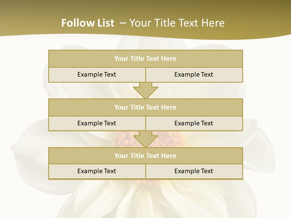 A White Flower With Yellow Center On A White Background PowerPoint Template