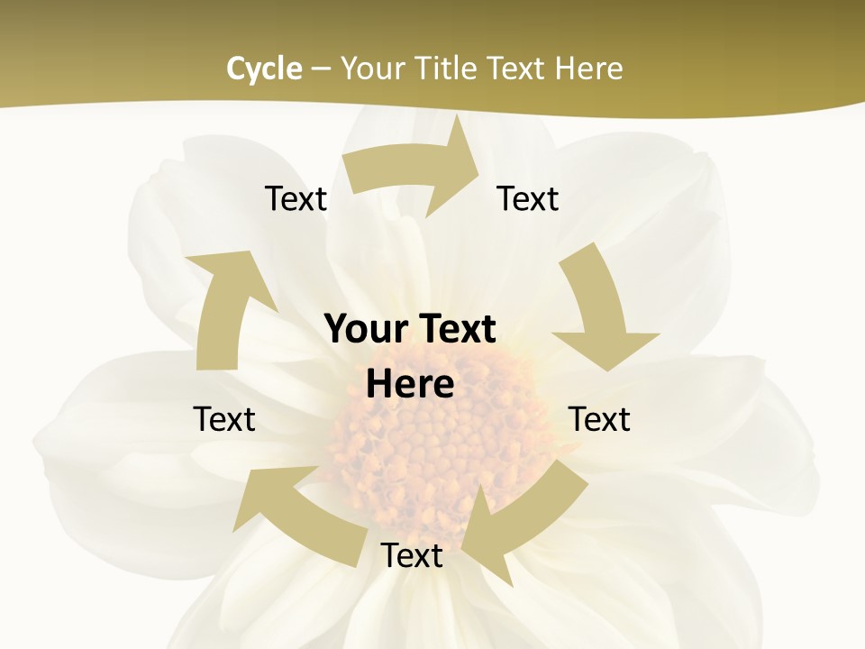 A White Flower With Yellow Center On A White Background PowerPoint Template