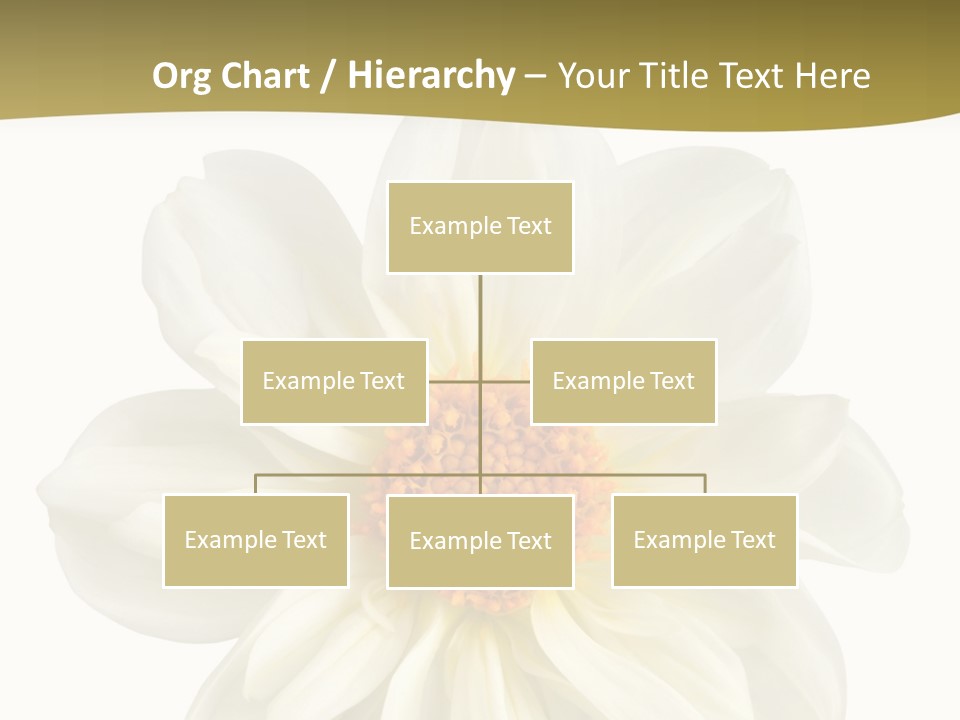 A White Flower With Yellow Center On A White Background PowerPoint Template